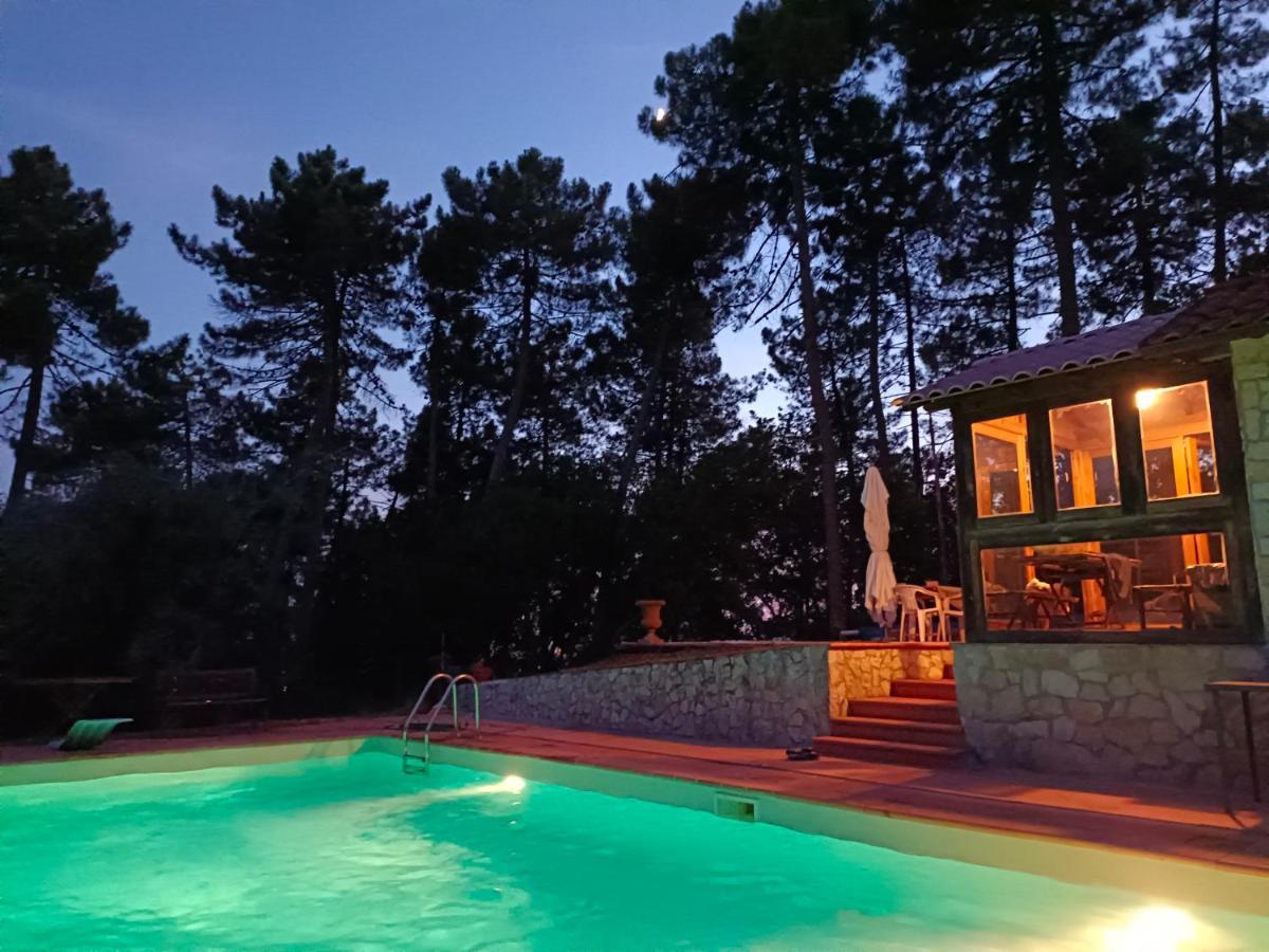 Corsanico-Bargecchia The Lemon Place By Nicola Real Estate المظهر الخارجي الصورة