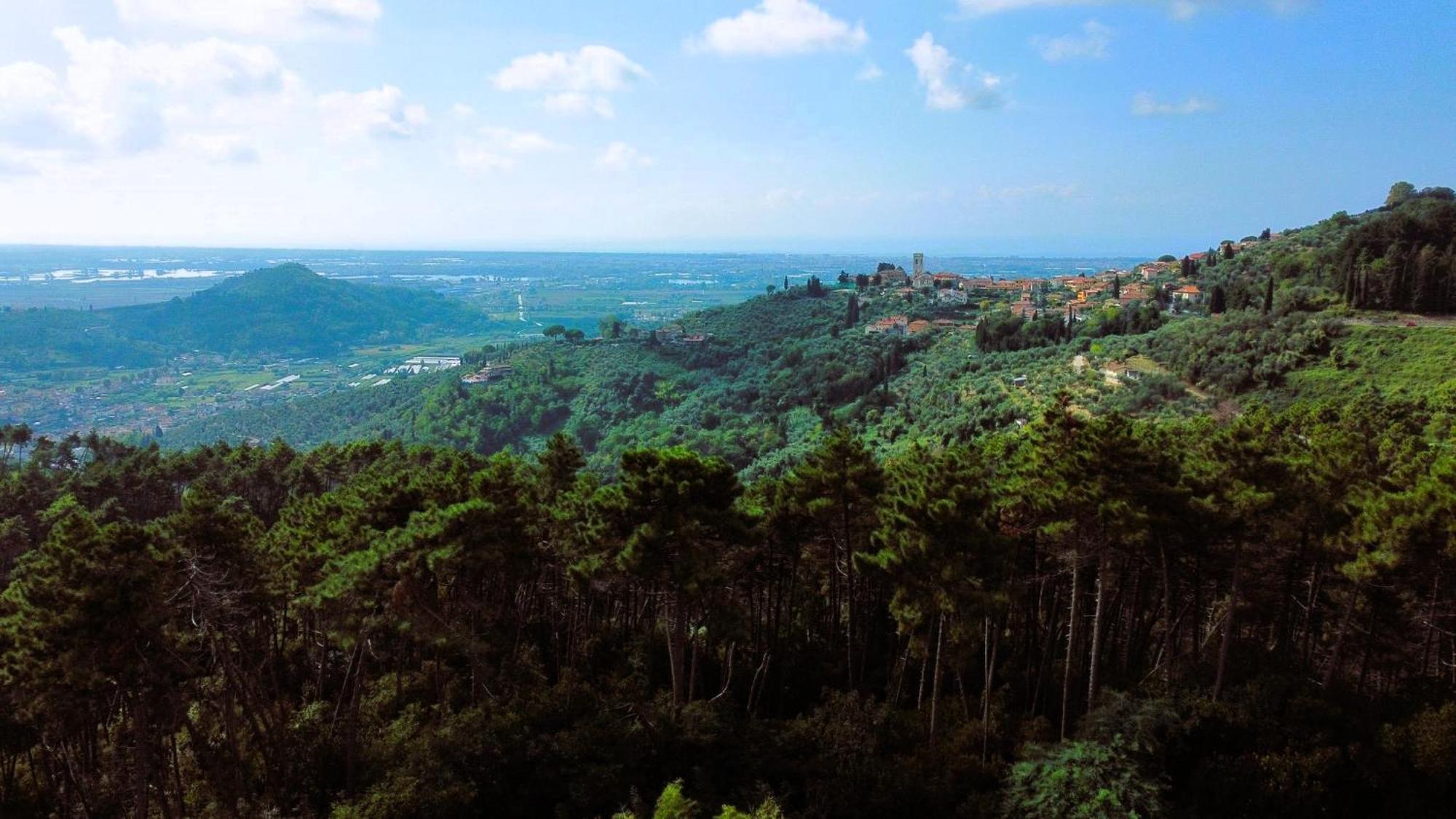 Corsanico-Bargecchia The Lemon Place By Nicola Real Estate المظهر الخارجي الصورة